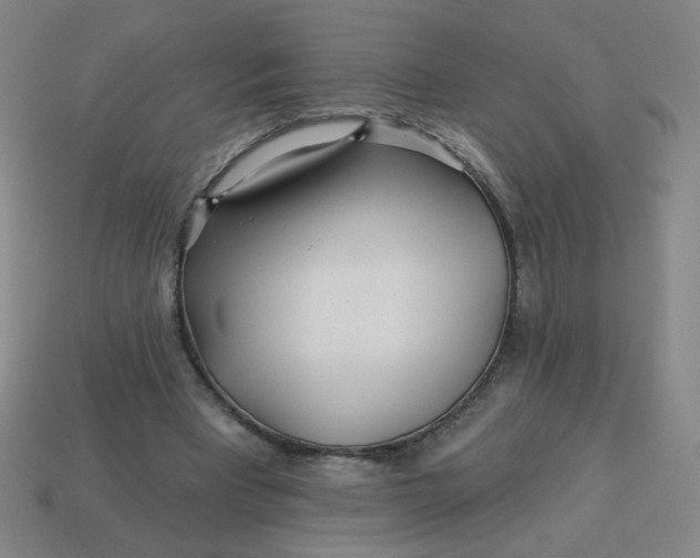 X0000113530393200910091227