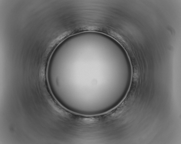 X0000113530394200910091227