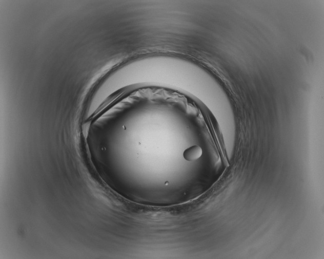 X0000113530395200910091227