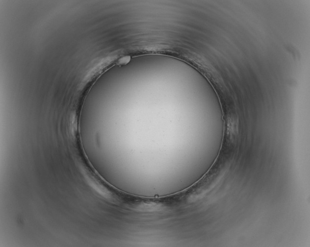 X0000113530397200910091227