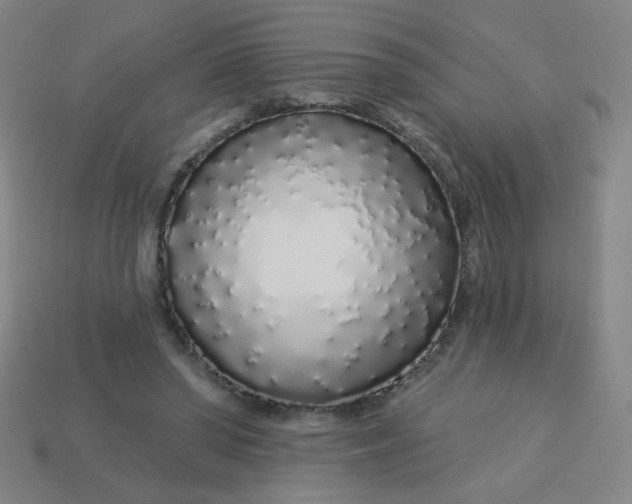 X0000113530398200910091227