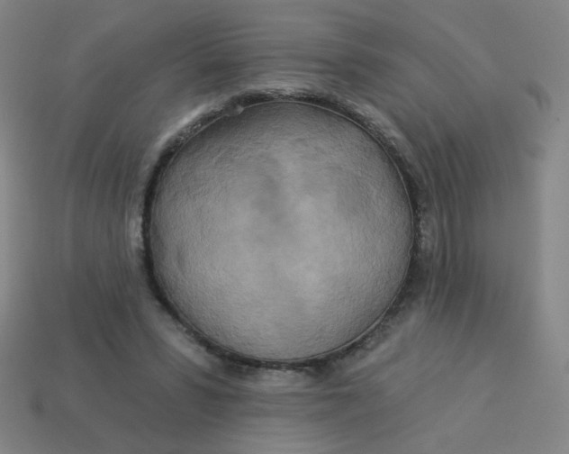 X0000113530399200910091227