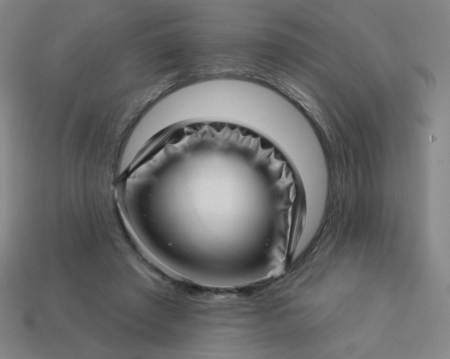 X0000113530401200910091227