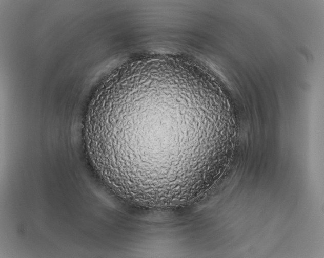 X0000113530402200910091227