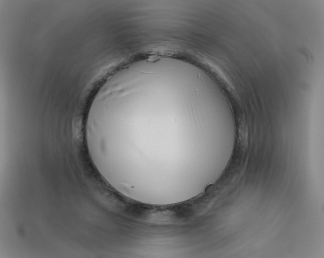 X0000113530403200910091227