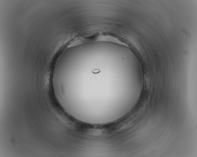 X0000113530404200910091227