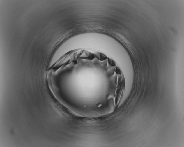 X0000113530405200910091227