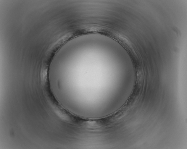 X0000113530406200910091227