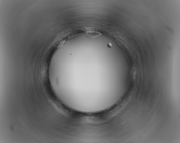 X0000113530408200910091227