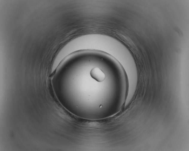 X0000113530409200910091227