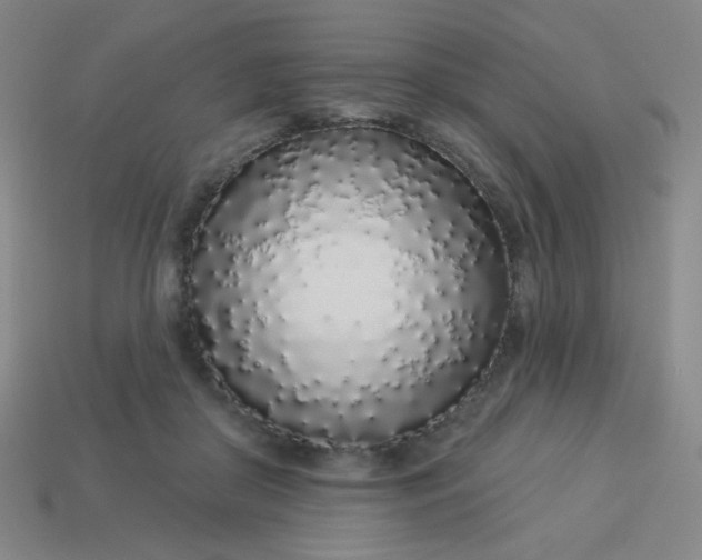 X0000113530410200910091227