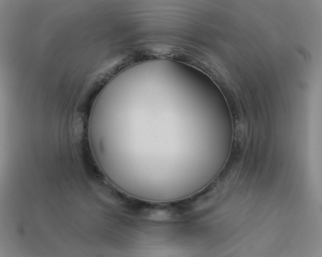 X0000113530412200910091227