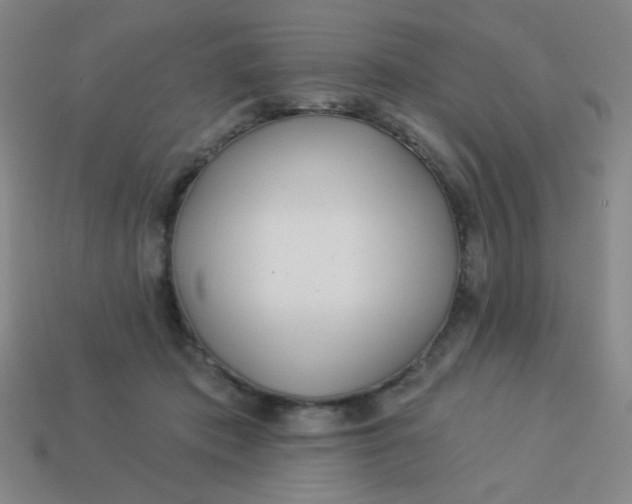 X0000113530413200910091227