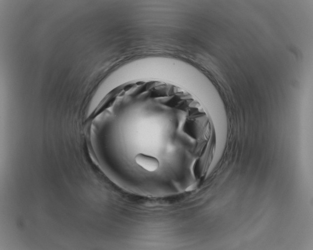 X0000113530415200910091227