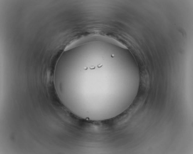 X0000113530420200910091227