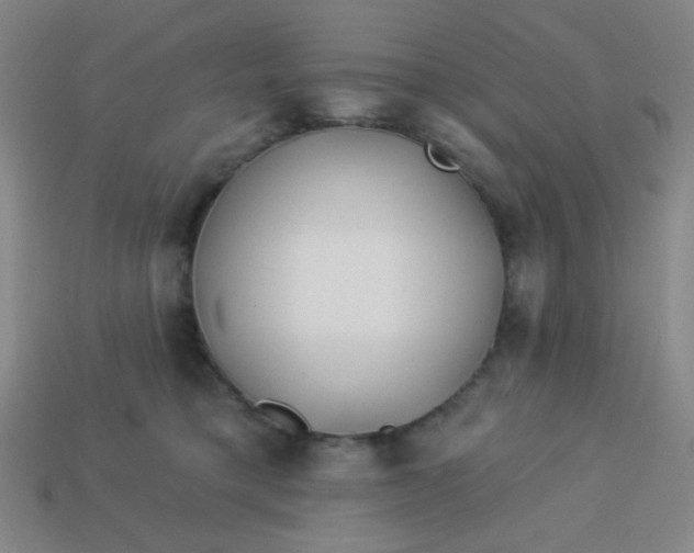 X0000113530421200910091227