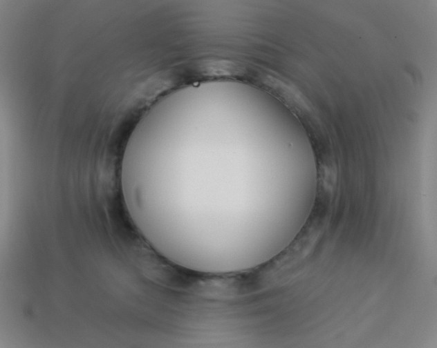 X0000113530422200910091227