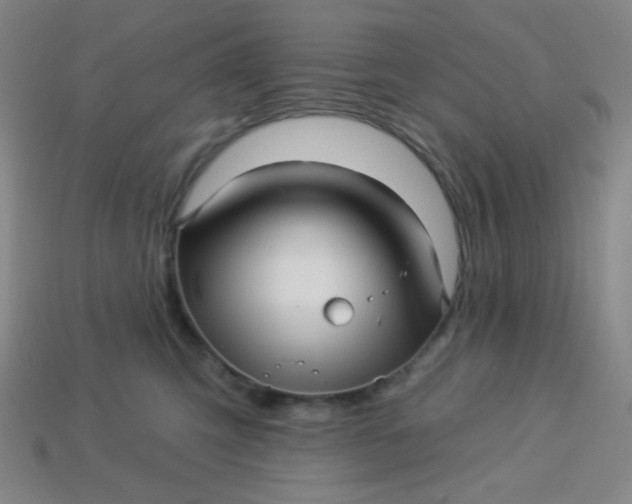 X0000113530423200910091227