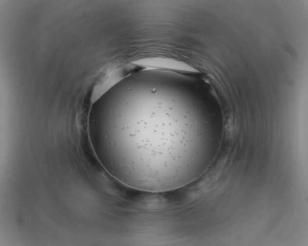 X0000113530424200910091227