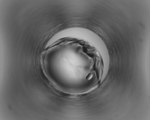 X0000113530425200910091227