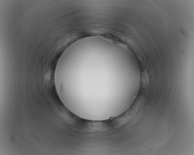 X0000113530428200910091227