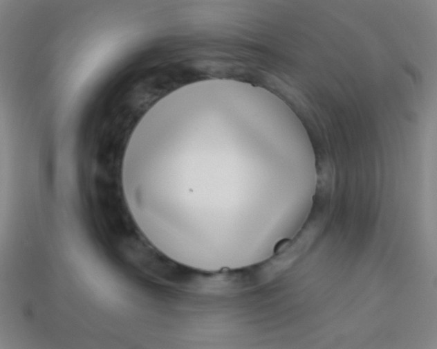 X0000113530430200910091227