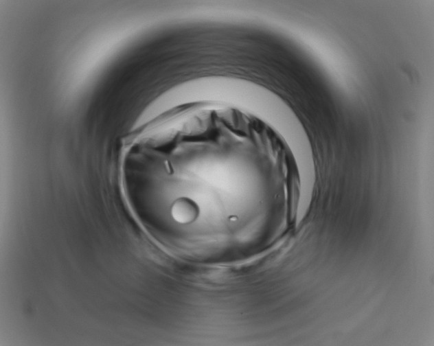 X0000113530431200910091227