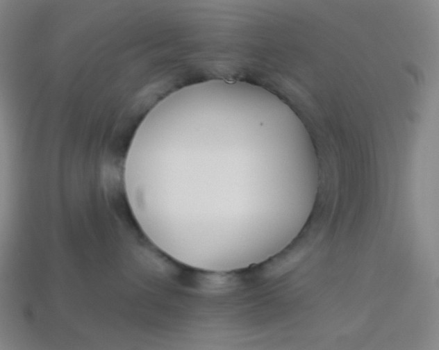 X0000113530432200910091227