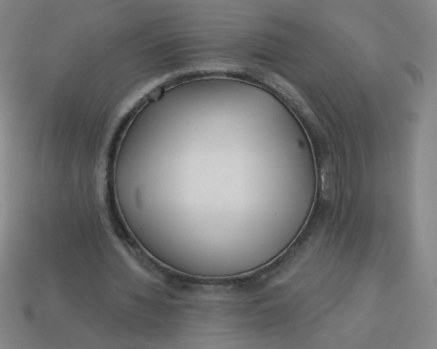 X0000113530436200910091226