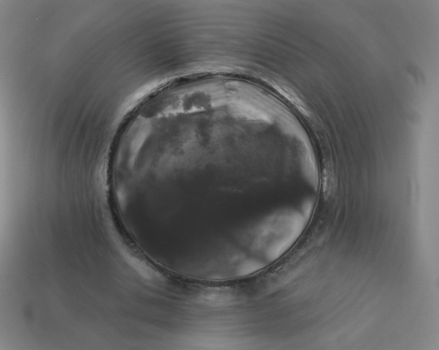 X0000113530438200910091226