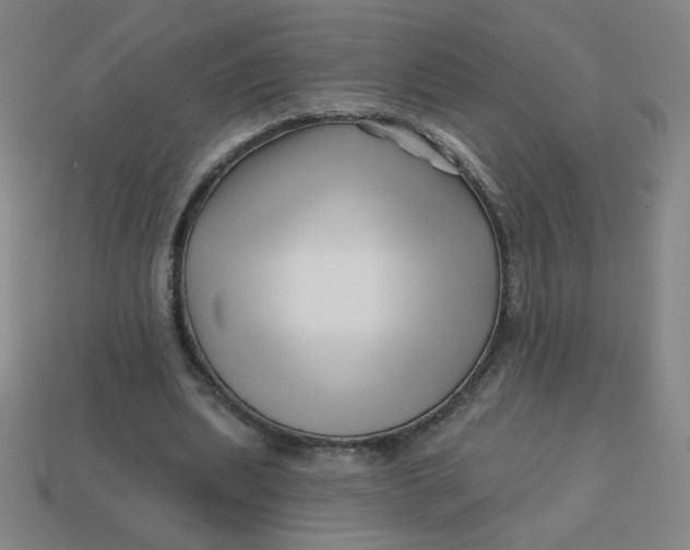 X0000113530439200910091226