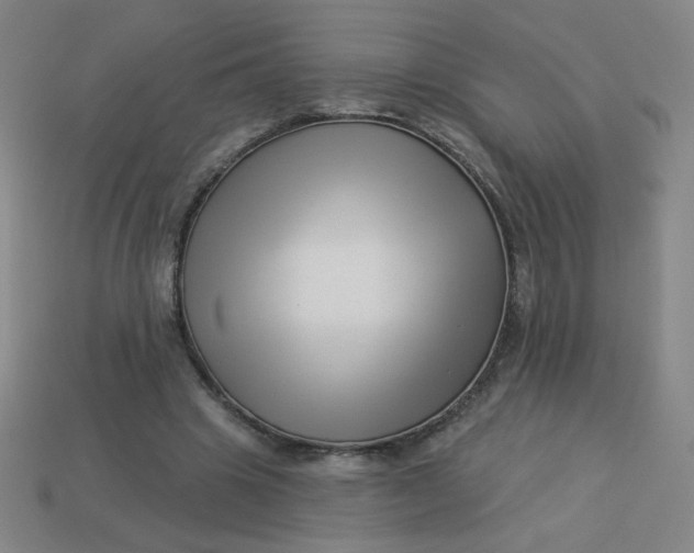 X0000113530441200910091226