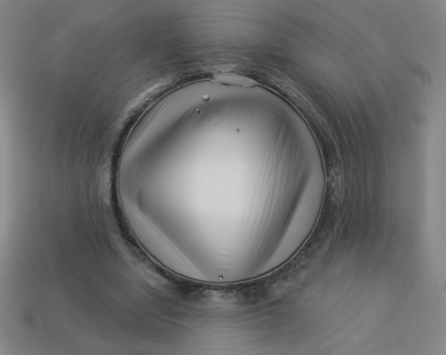 X0000113530442200910091226