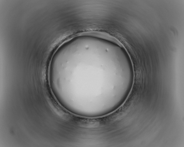 X0000113530443200910091226