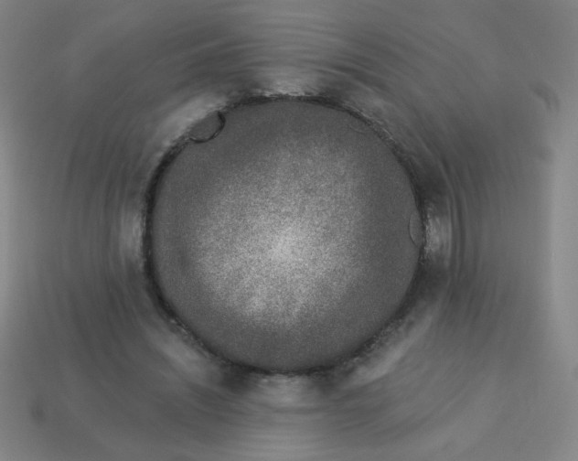 X0000113530444200910091226