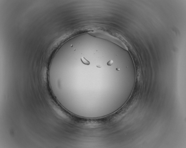 X0000113530445200910091226