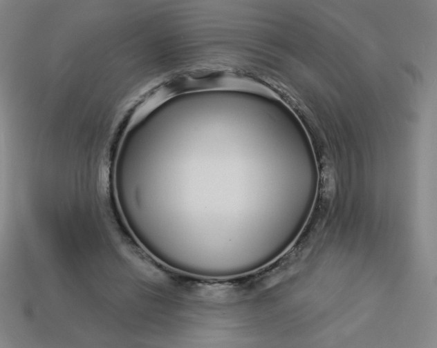 X0000113530446200910091226