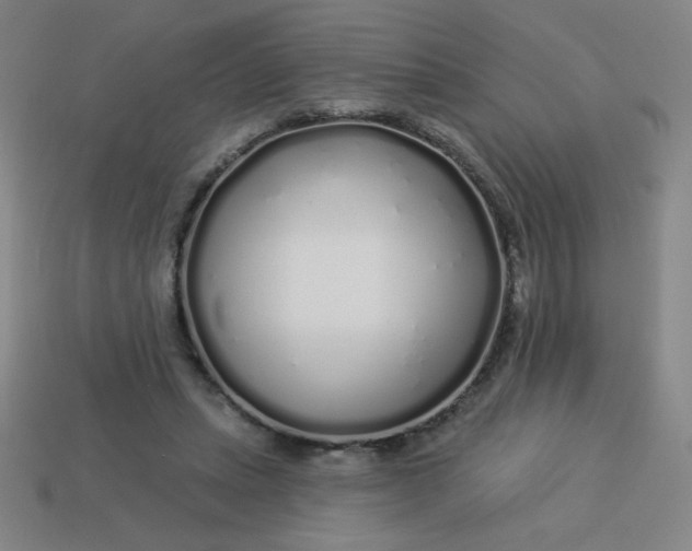 X0000113530447200910091226