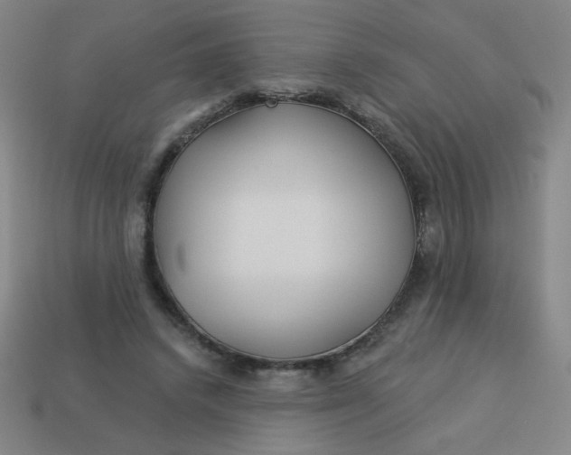 X0000113530448200910091226