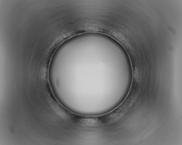 X0000113530449200910091226