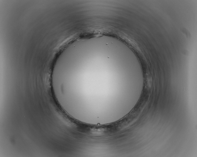 X0000113530450200910091226