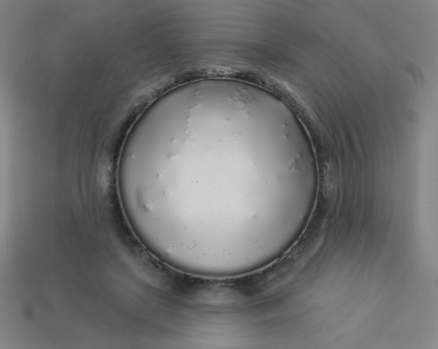 X0000113530451200910091226