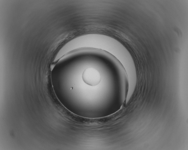 X0000113530452200910091226