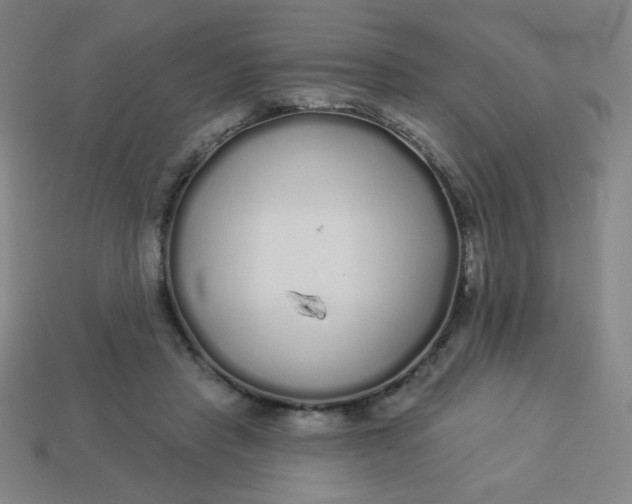 X0000113530453200910091226