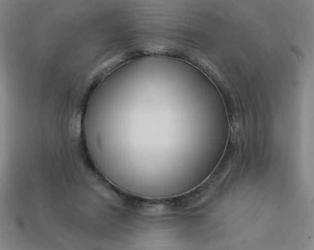 X0000113530454200910091226