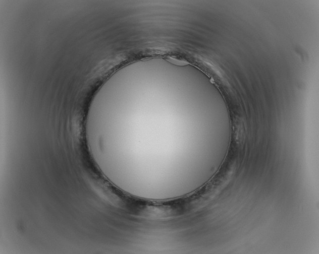 X0000113530455200910091226