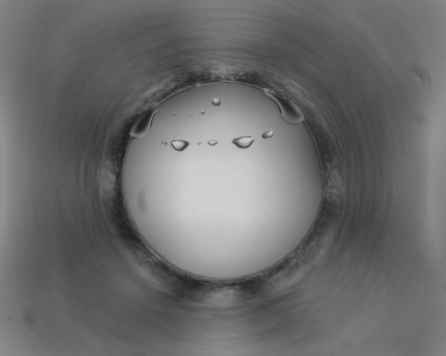 X0000113530456200910091226