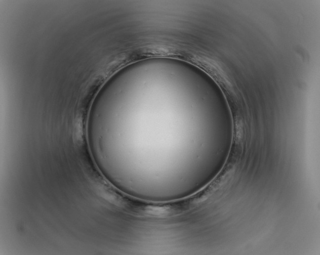 X0000113530457200910091226