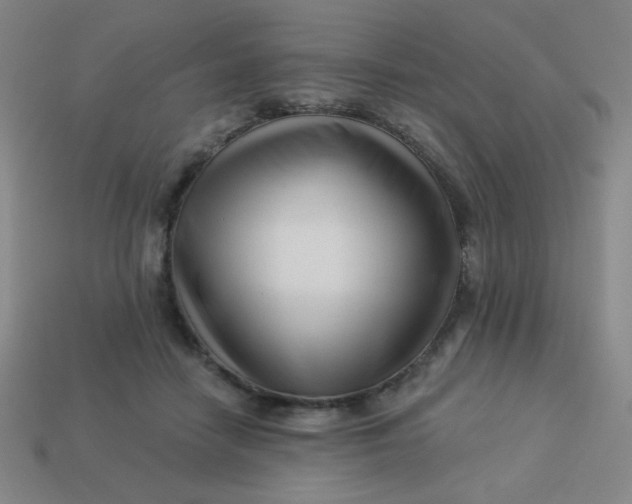 X0000113530458200910091226