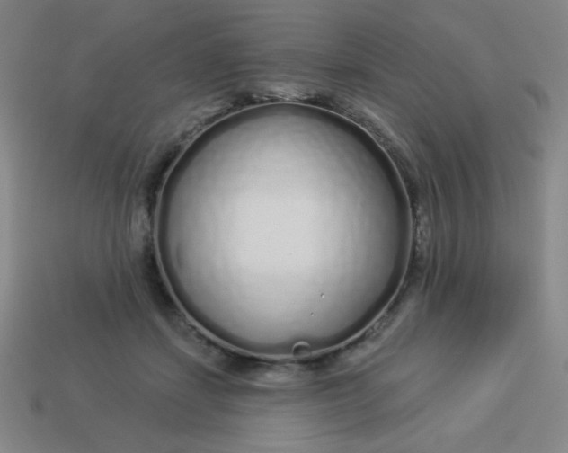 X0000113530459200910091226